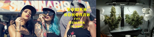 тгк Горно-Алтайск