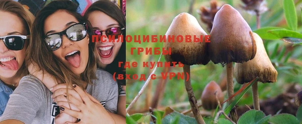 тгк Горно-Алтайск