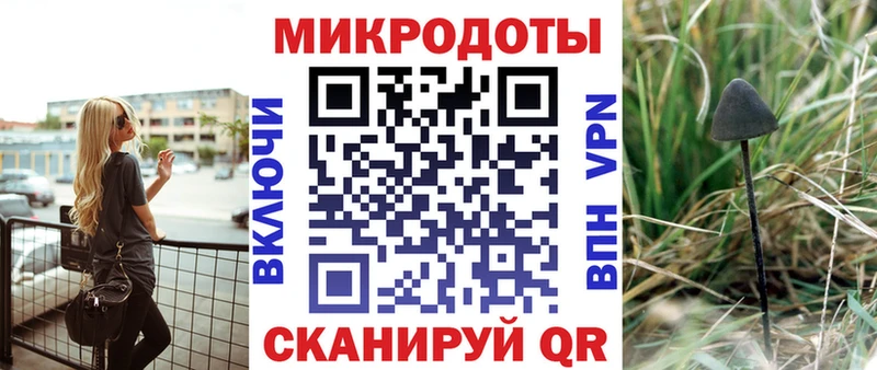 Купить закладки  Судак  Галлюциногенные грибы Psilocybe 